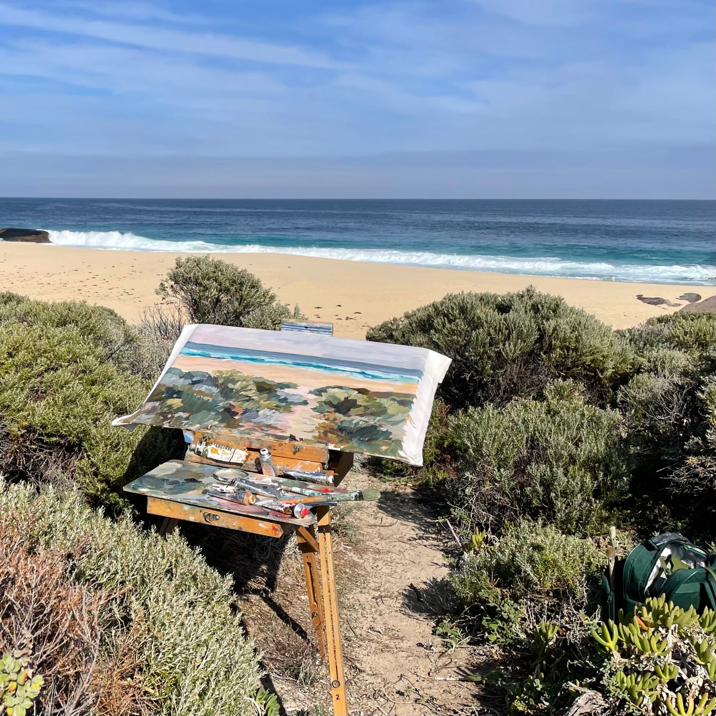 Beyond the coastal brush