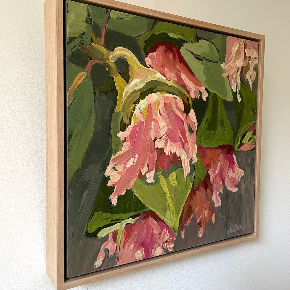 Eucalyptus - Eneabba Mallee