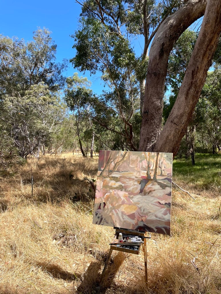 Sun bleached bushland