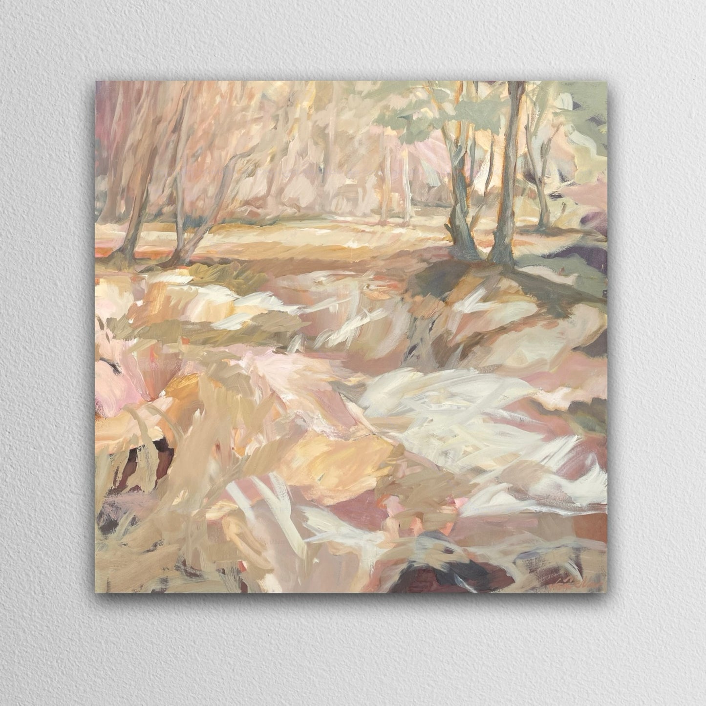 Sun bleached bushland