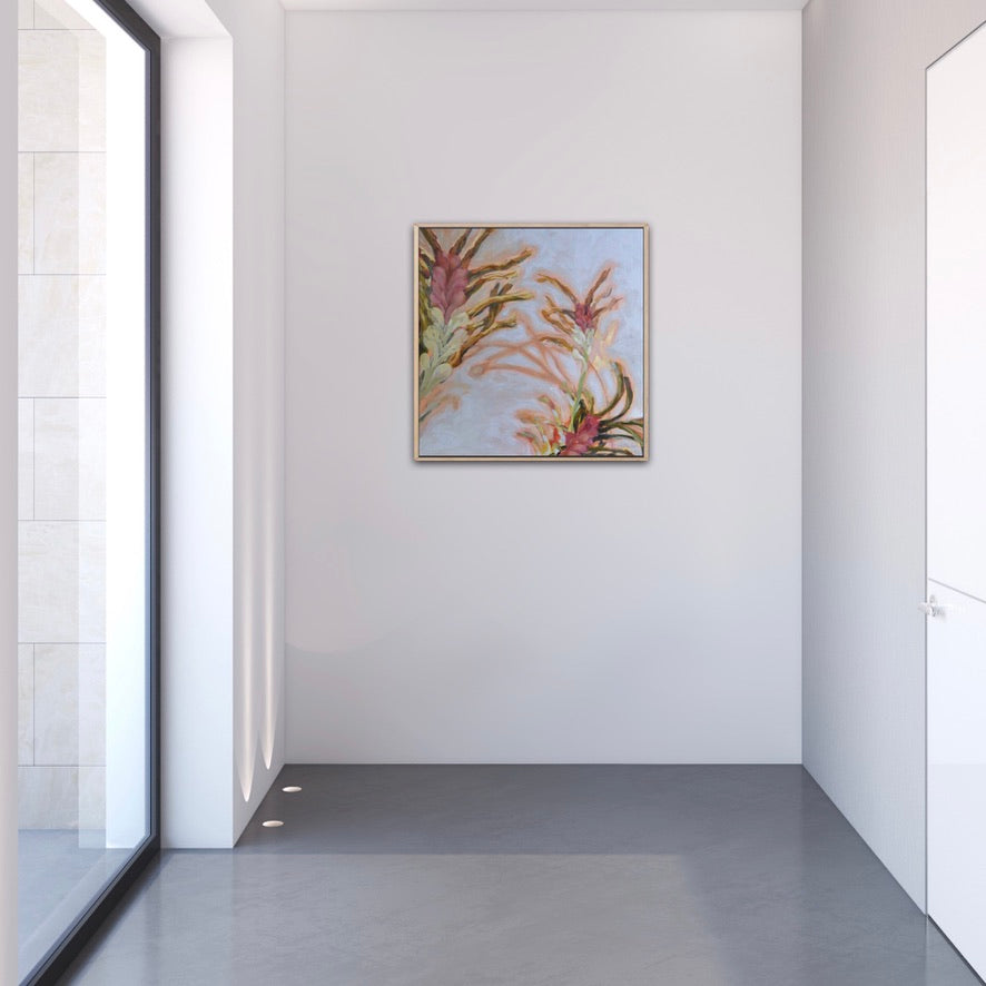 Graceful , Kangaroo Paws