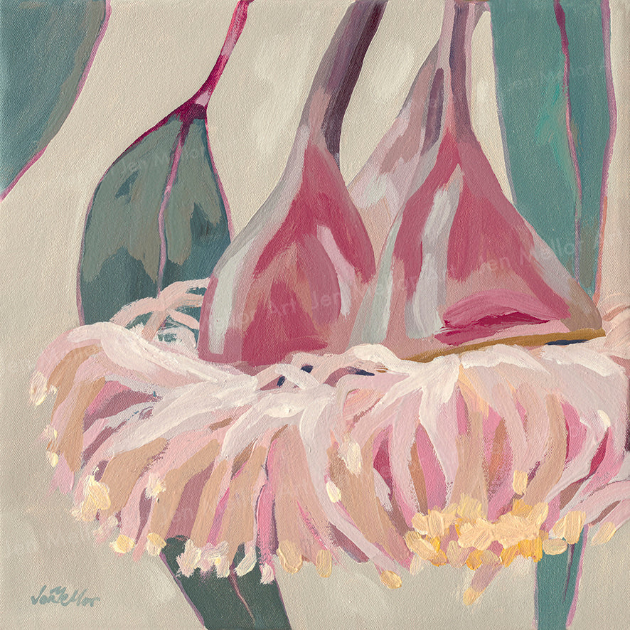 Eucalyptus Caesia 1 - Limited Edition Print