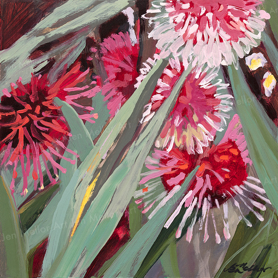 Happy Hakeas - Limited Edition Print