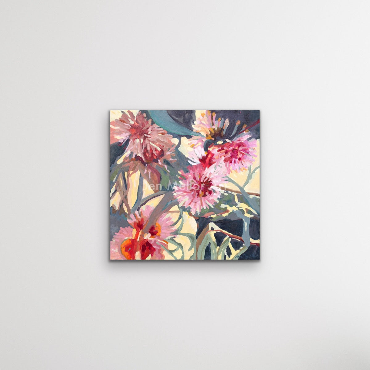 Sunlit Hakeas - Limited Edition Print