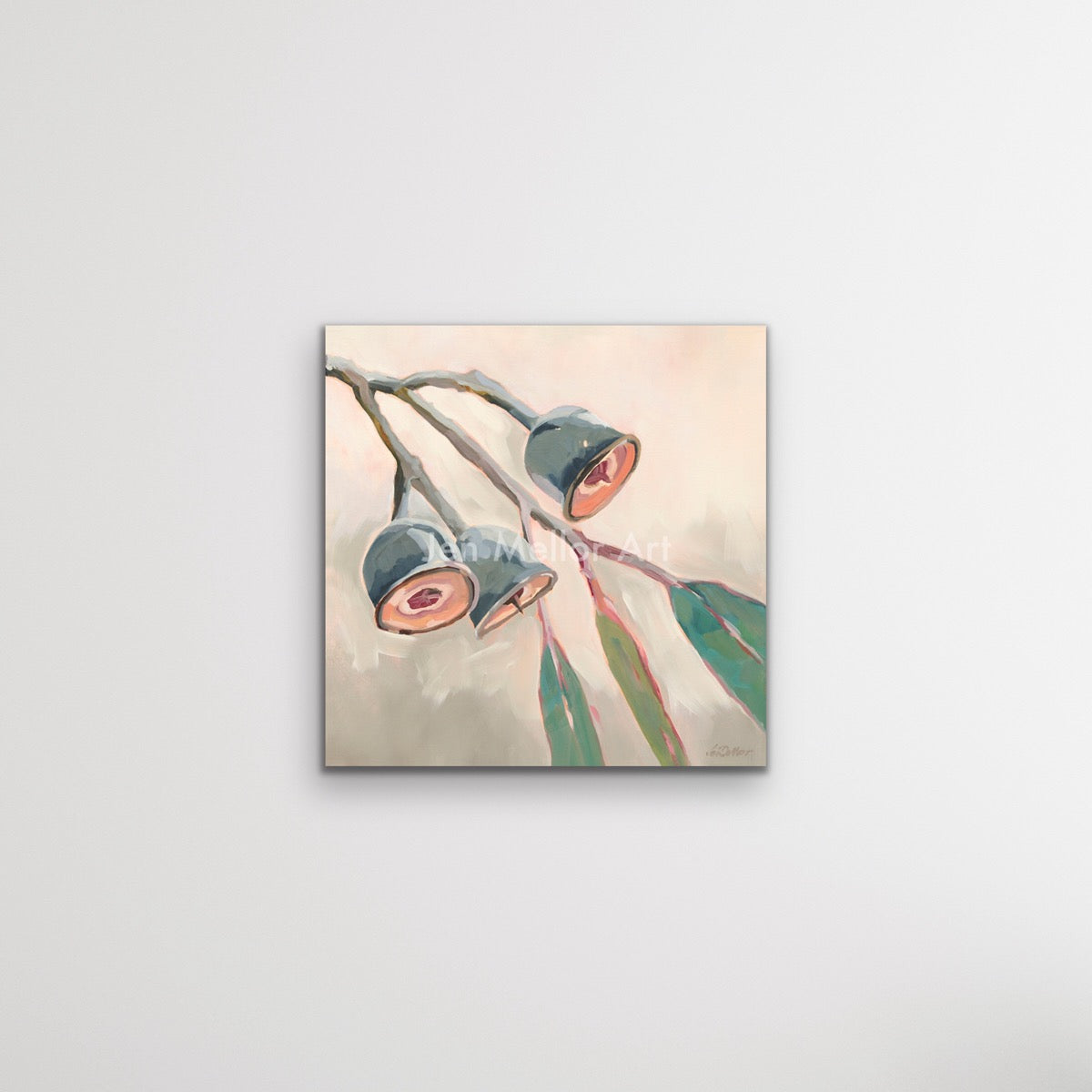 Gumnuts - Limited Edition Print