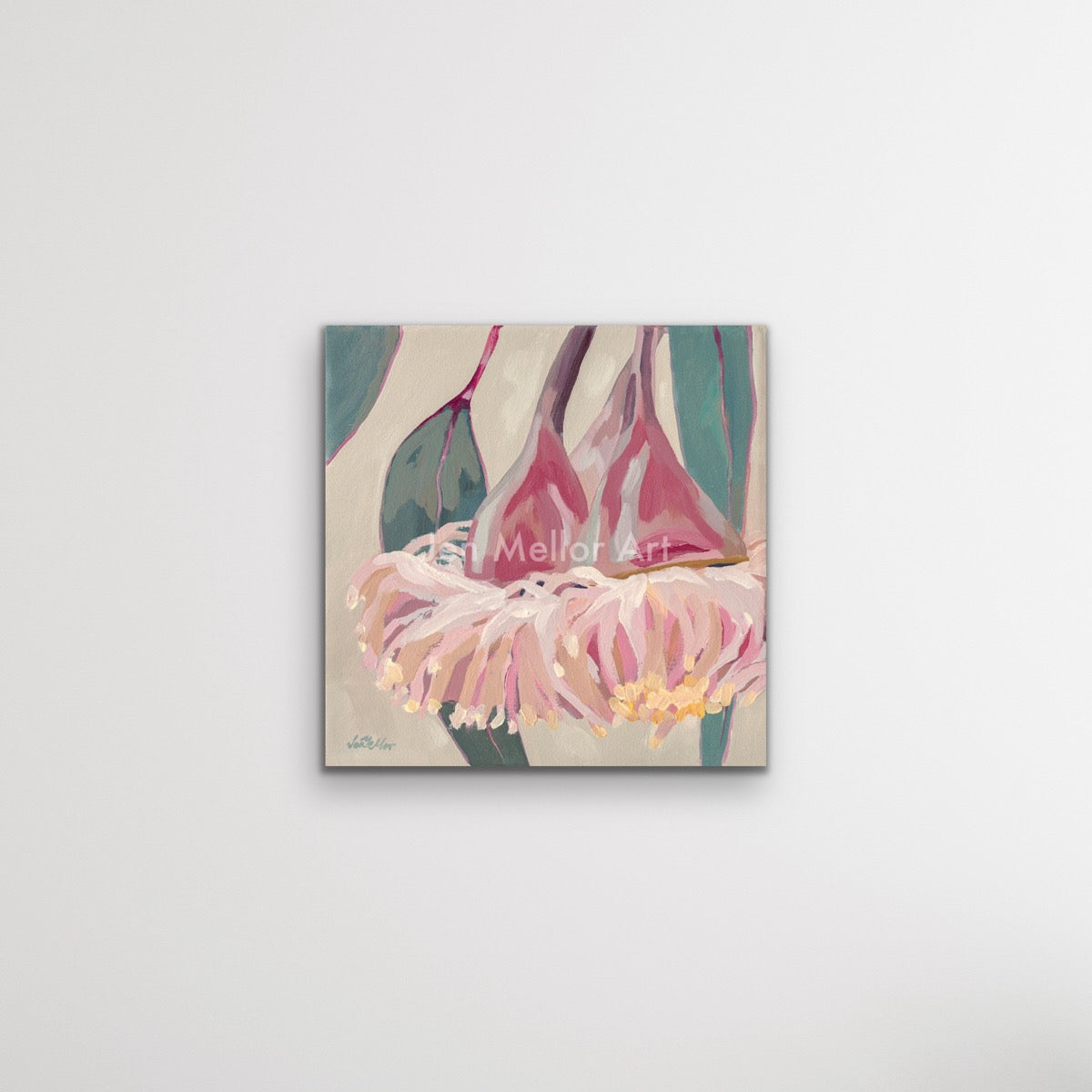 Eucalyptus Caesia 1 - Limited Edition Print