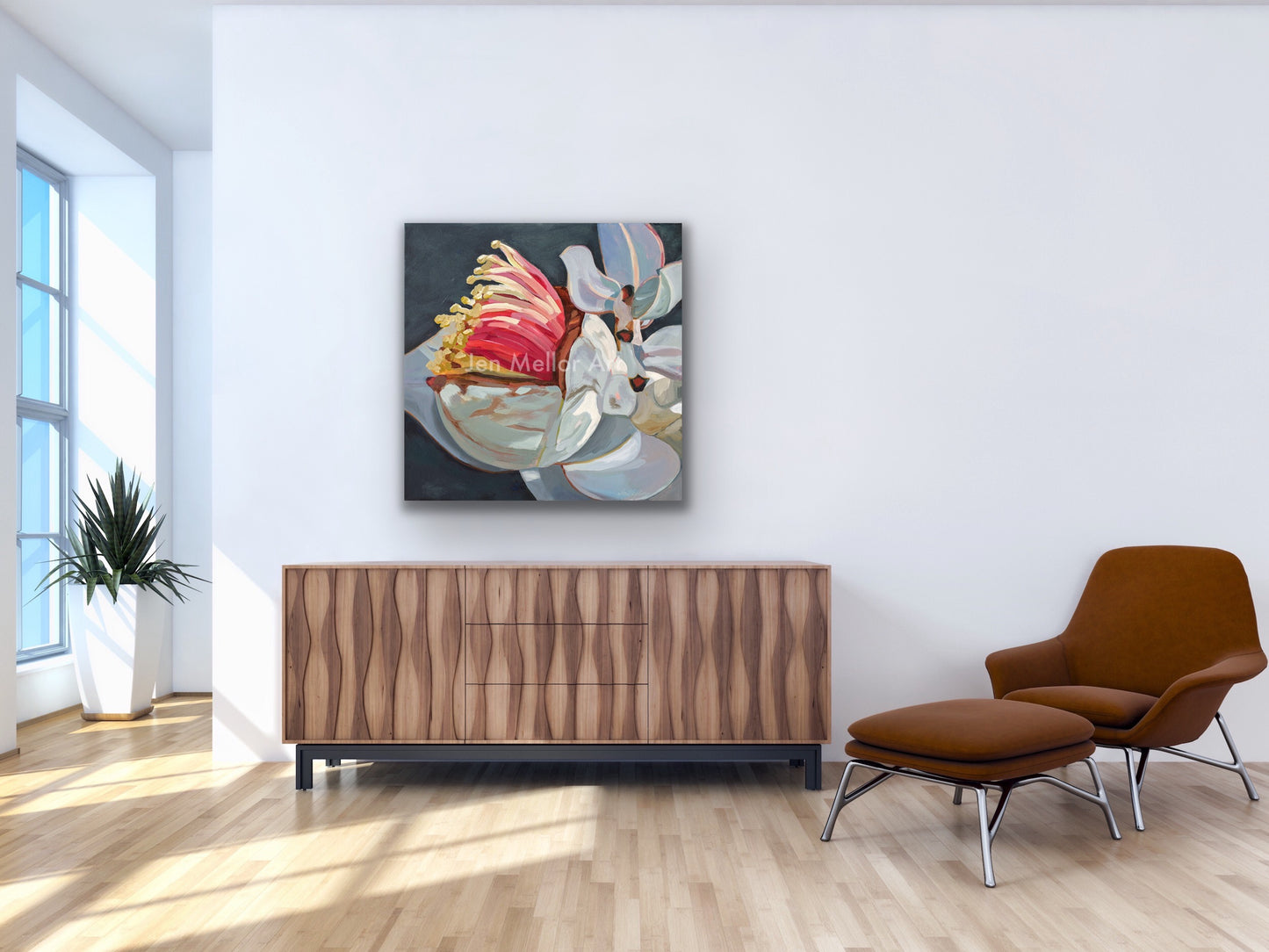 Eucalyptus Macrocarpa - Limited Edition Print