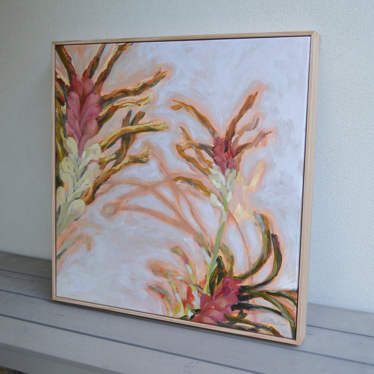 Graceful , Kangaroo Paws