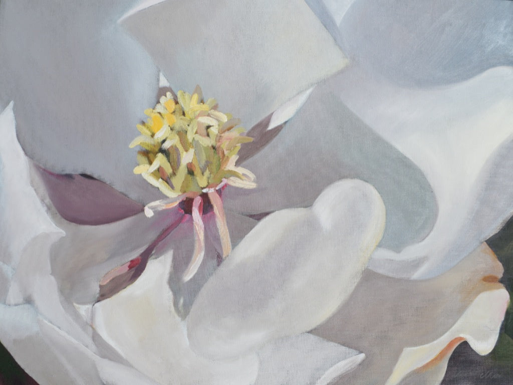 Magnolia - Little Gem
