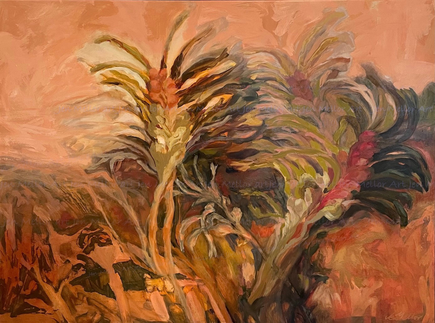 Land of the Kangaroo paws