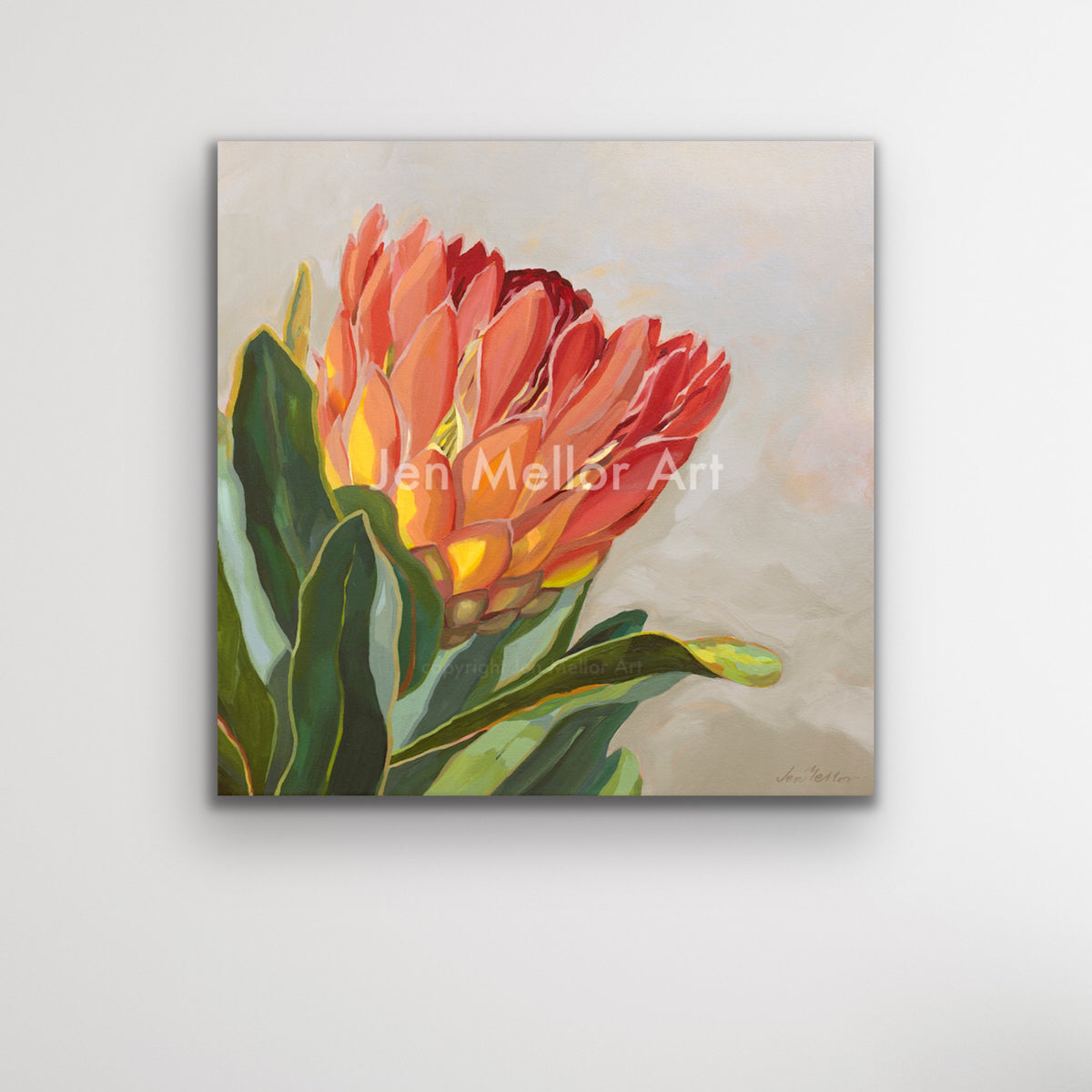 Protea Eximia - Limited Edition Print