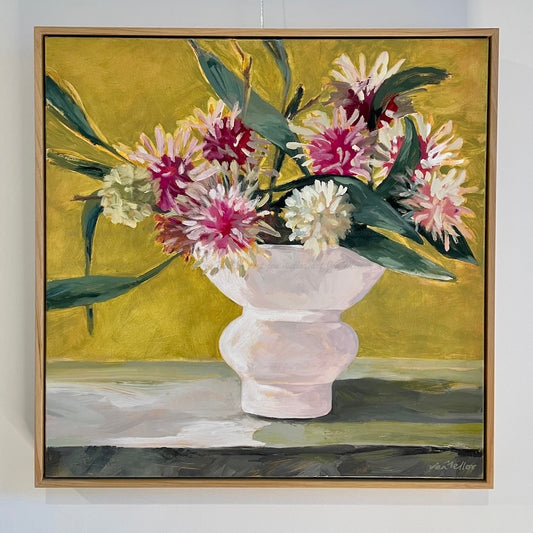 Hakea Radiance