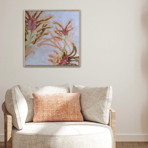 Graceful , Kangaroo Paws