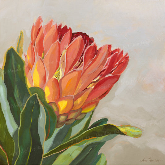 Protea Eximia - Limited Edition Print